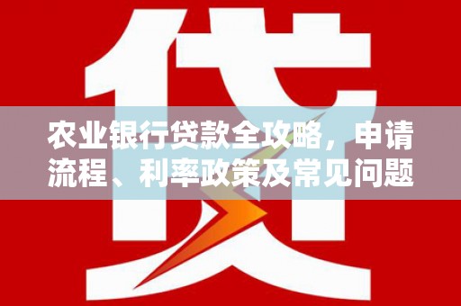文登农业银行贷款全攻略，申请流程、利率政策及常见问题解析