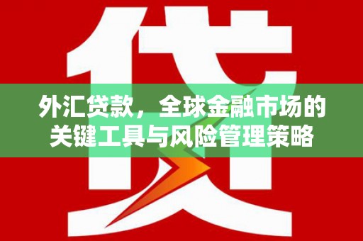 文登外汇贷款，全球金融市场的关键工具与风险管理策略