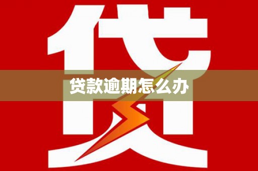 文登贷款逾期怎么办