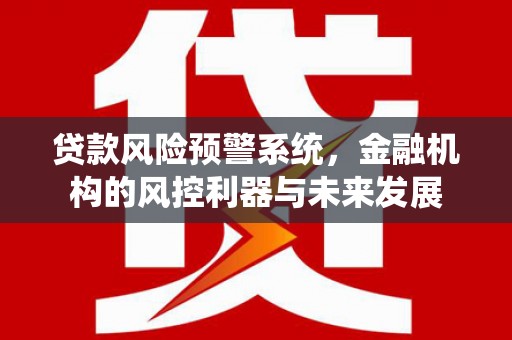 文登贷款风险预警系统，金融机构的风控利器与未来发展