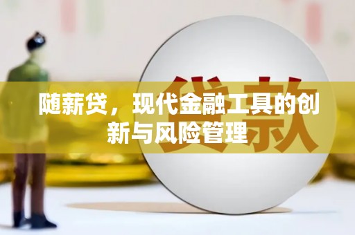 文登随薪贷，现代金融工具的创新与风险管理