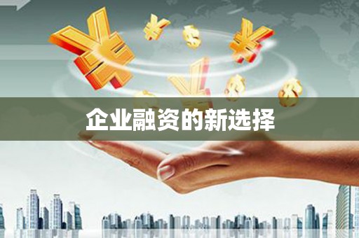 文登企业融资的新选择