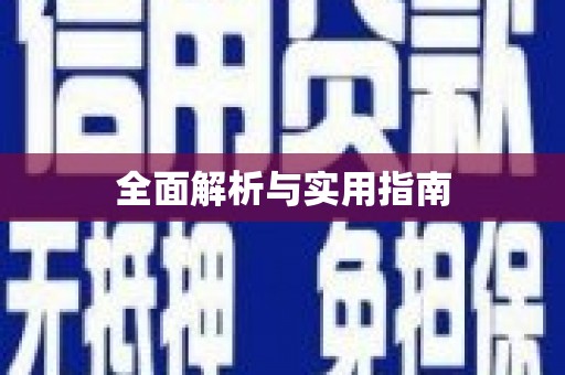 文登全面解析与实用指南