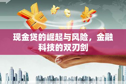 文登现金贷的崛起与风险，金融科技的双刃剑