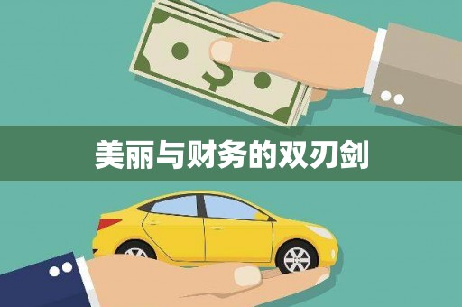 文登美丽与财务的双刃剑