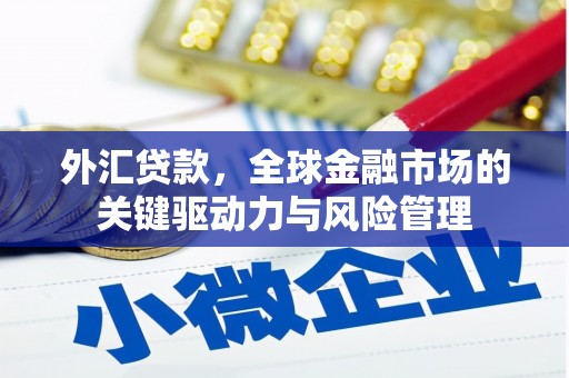 文登外汇贷款，全球金融市场的关键驱动力与风险管理
