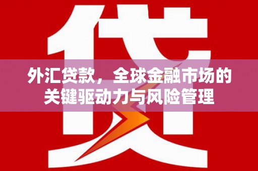 文登外汇贷款，全球金融市场的关键驱动力与风险管理
