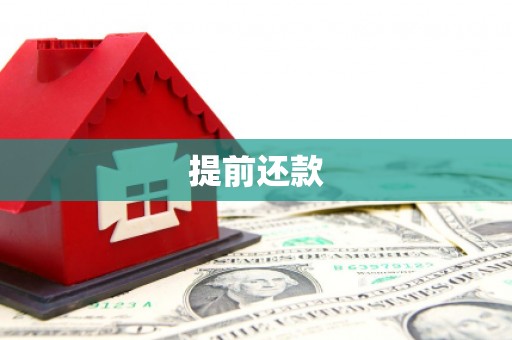 文登提前还款