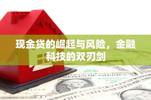 文登现金贷的崛起与风险，金融科技的双刃剑