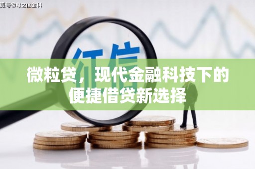 文登微粒贷，现代金融科技下的便捷借贷新选择