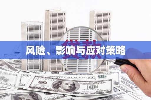 文登风险、影响与应对策略