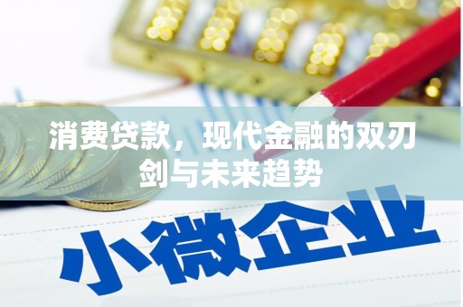 文登消费贷款，现代金融的双刃剑与未来趋势