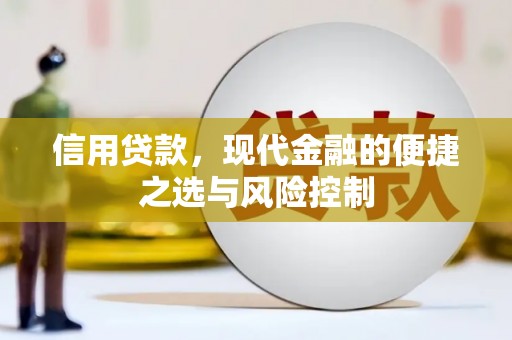 文登信用贷款，现代金融的便捷之选与风险控制