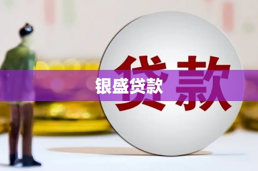 文登银盛贷款