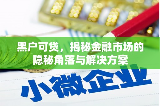 文登黑户可贷，揭秘金融市场的隐秘角落与解决方案