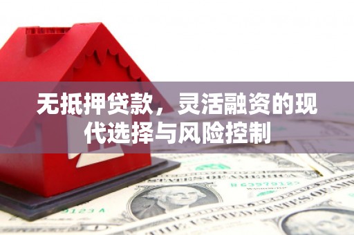 文登无抵押贷款，灵活融资的现代选择与风险控制