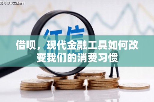 文登借呗，现代金融工具如何改变我们的消费习惯