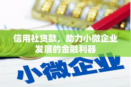 文登信用社贷款，助力小微企业发展的金融利器