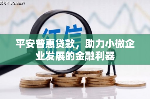 文登平安普惠贷款，助力小微企业发展的金融利器
