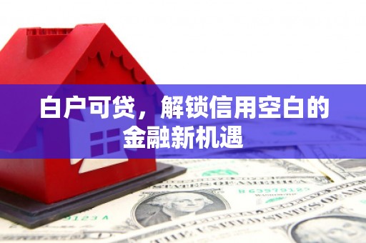 文登白户可贷，解锁信用空白的金融新机遇