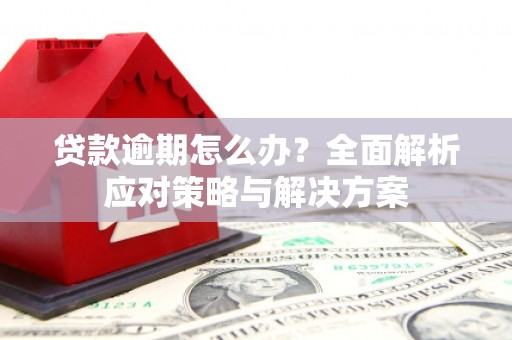 文登贷款逾期怎么办？全面解析应对策略与解决方案
