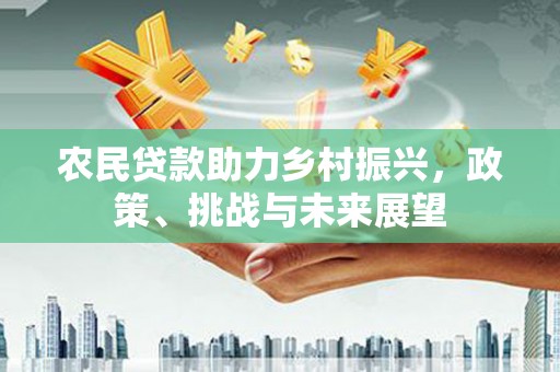 文登农民贷款助力乡村振兴，政策、挑战与未来展望