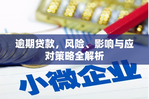 文登逾期贷款，风险、影响与应对策略全解析