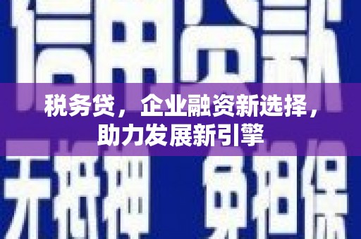 文登税务贷，企业融资新选择，助力发展新引擎