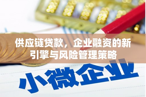 文登供应链贷款，企业融资的新引擎与风险管理策略