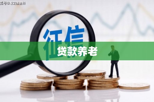 文登贷款养老
