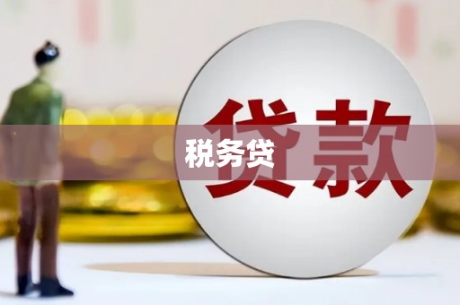 文登税务贷