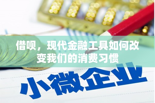 文登借呗，现代金融工具如何改变我们的消费习惯