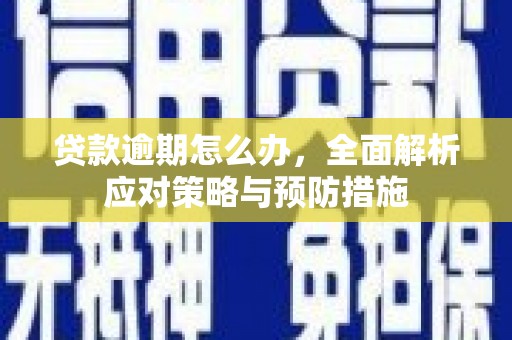 文登贷款逾期怎么办，全面解析应对策略与预防措施
