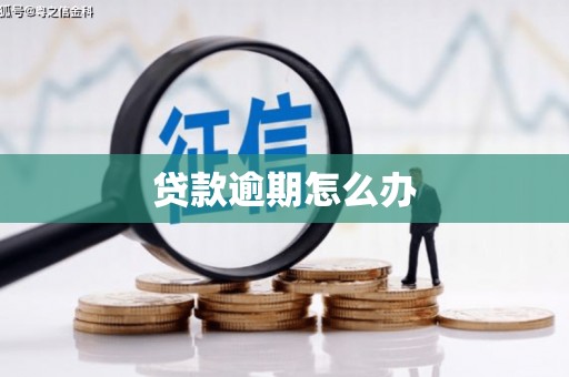 文登贷款逾期怎么办