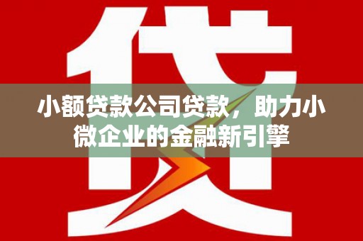 文登小额贷款公司贷款，助力小微企业的金融新引擎