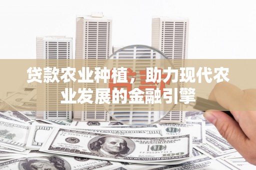文登贷款农业种植，助力现代农业发展的金融引擎