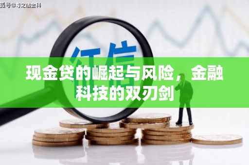 文登现金贷的崛起与风险，金融科技的双刃剑