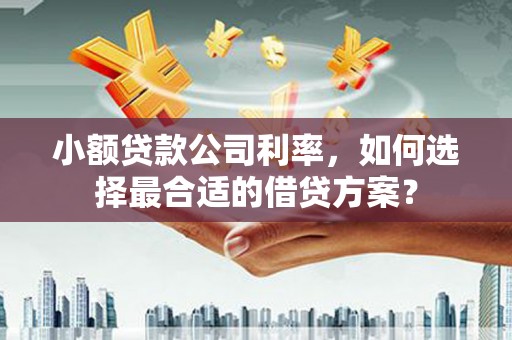文登小额贷款公司利率，如何选择最合适的借贷方案？