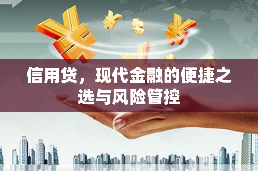 文登信用贷，现代金融的便捷之选与风险管控