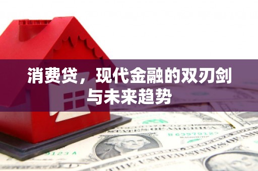 文登消费贷，现代金融的双刃剑与未来趋势