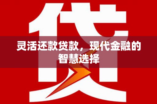 文登灵活还款贷款，现代金融的智慧选择