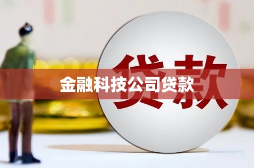 文登金融科技公司贷款