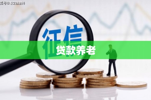 文登贷款养老