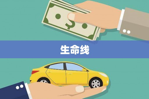 文登生命线