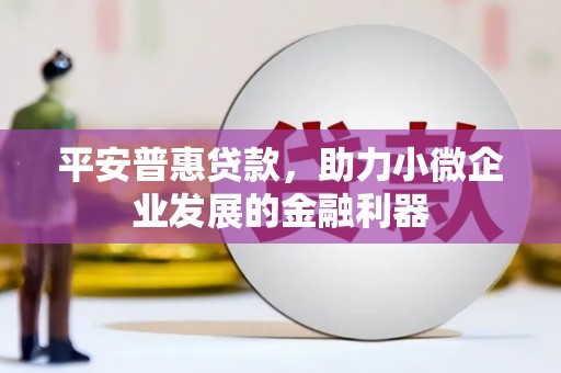 文登平安普惠贷款，助力小微企业发展的金融利器