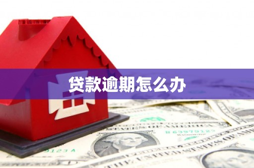 文登贷款逾期怎么办