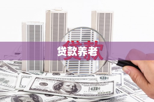 文登贷款养老