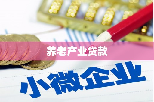 文登养老产业贷款
