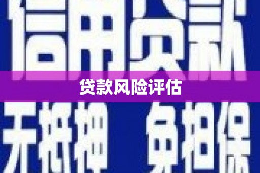 文登贷款风险评估