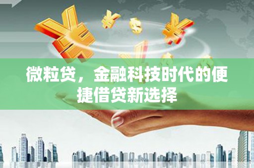 文登微粒贷，金融科技时代的便捷借贷新选择